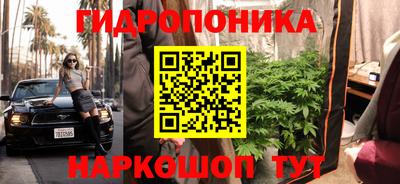 гидра Брянск