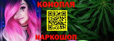 гидра Брянск