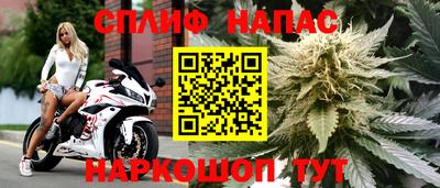гидра Брянск