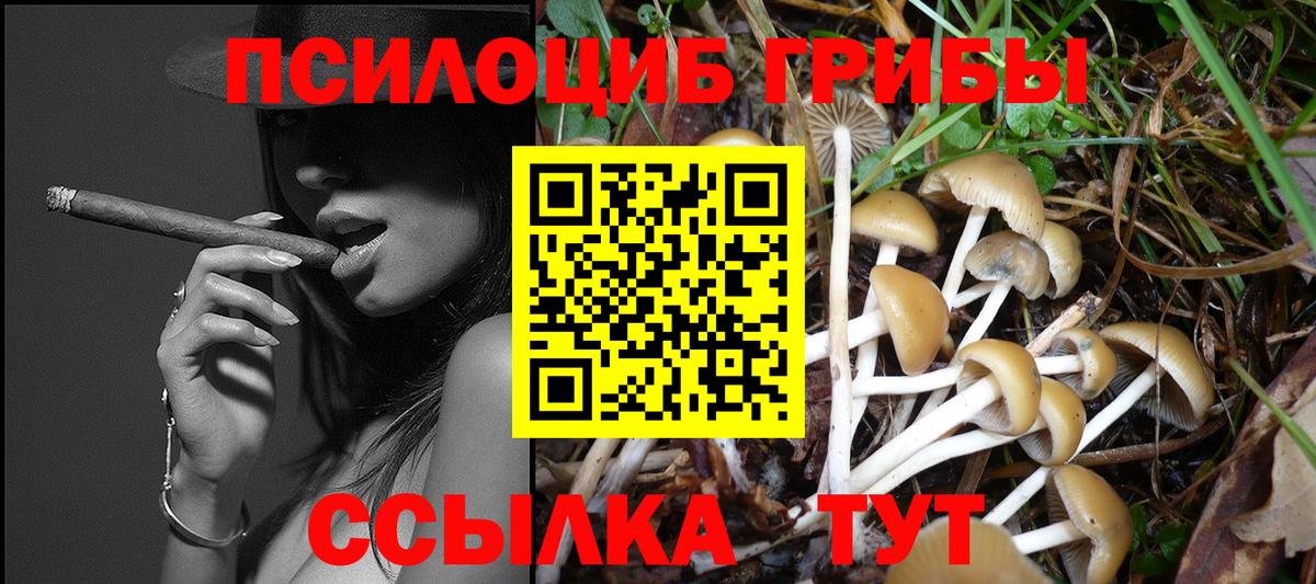 Видное  Псилоцибиновые грибы ЛСД  Галлюциногенные грибы Magic Shrooms  как найти наркотики  Вход с VPN 